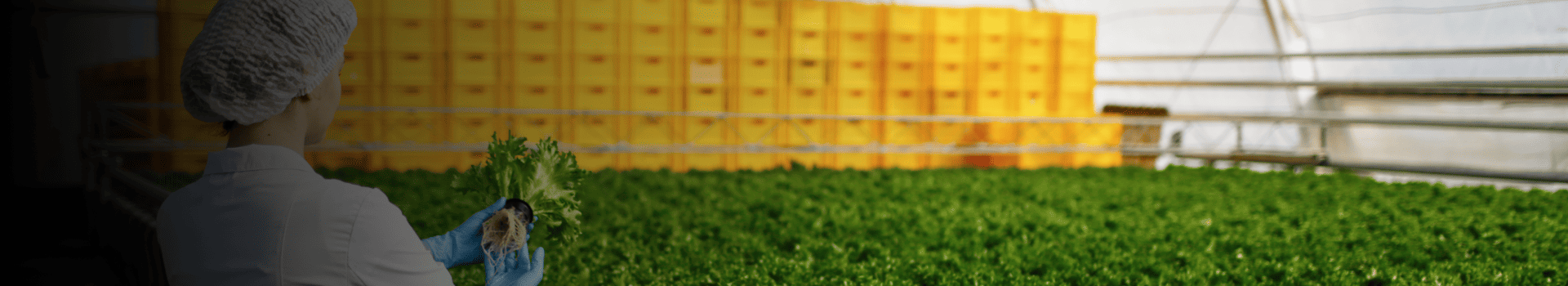 industria alimentare e delle bevande